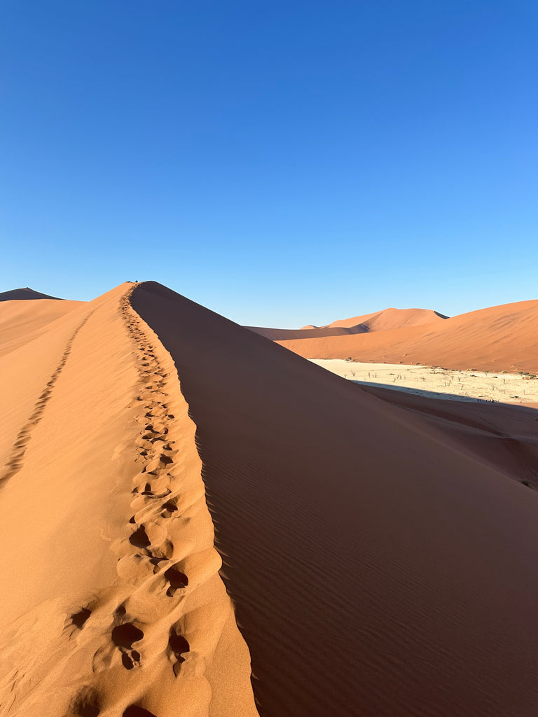 Here Today, Africa Tomorrow: Journey to Namibia